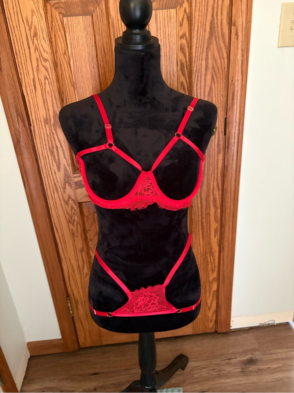 SHEIN Red Lace Harness Bra and Strappy Panty Set